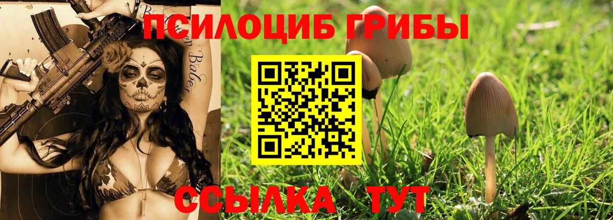 Новый Уренгой  Галлюциногенные грибы прущие грибы  Вход с VPN  Галлюциногенные грибы MAGIC MUSHROOMS 