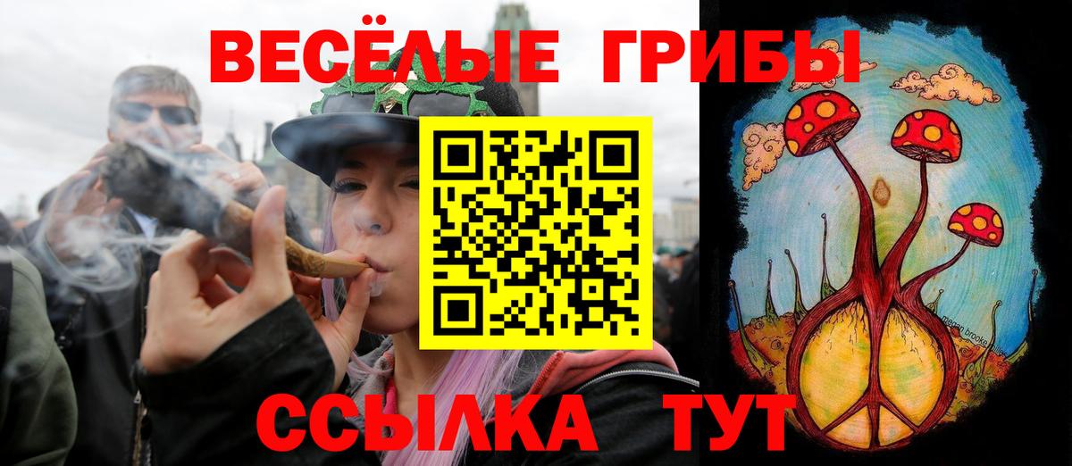Галлюциногенные грибы GOLDEN TEACHER Новый Уренгой